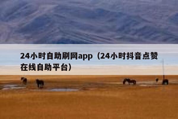 24小时自助刷网app（24小时抖音点赞在线自助平台） 第1张