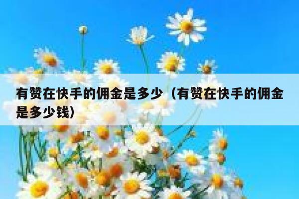 有赞在快手的佣金是多少（有赞在快手的佣金是多少钱） 第1张