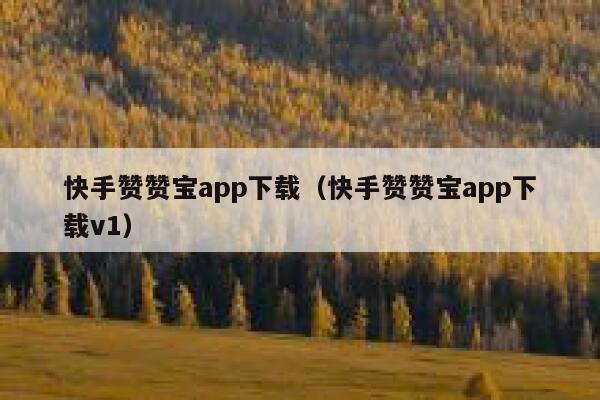 快手赞赞宝app下载（快手赞赞宝app下载v1） 第1张