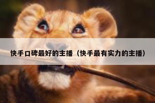 快手口碑最好的主播（快手最有实力的主播） 第1张