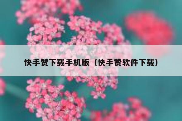 快手赞下载手机版（快手赞软件下载） 第1张