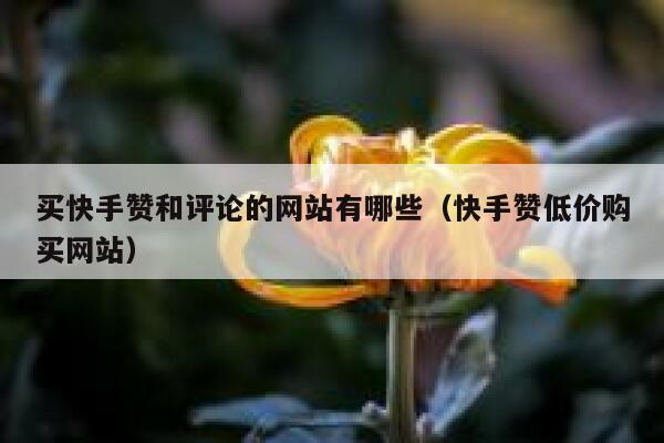 买快手赞和评论的网站有哪些(快手赞低价购买网站) 第1张 买快手赞和评论的网站有哪些(快手赞低价购买网站) 第1张