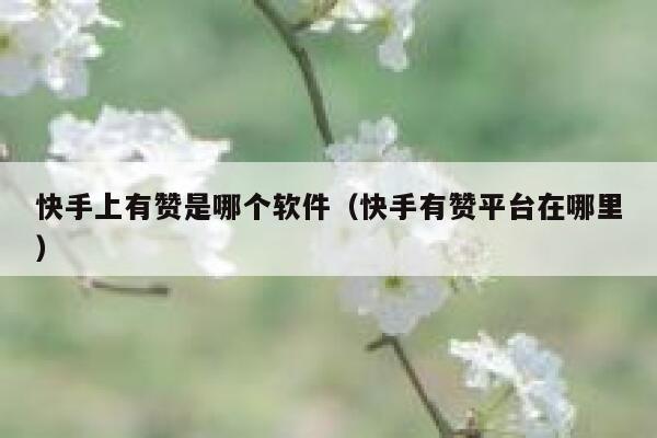 快手上有赞是哪个软件（快手有赞平台在哪里） 第1张