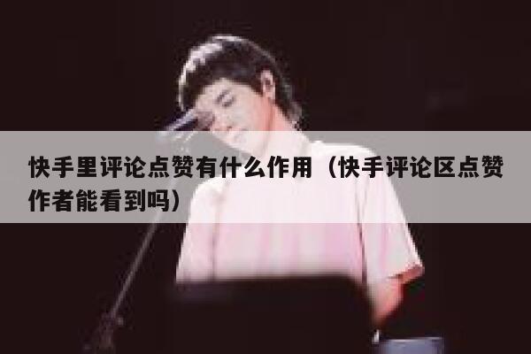 快手里评论点赞有什么作用（快手评论区点赞作者能看到吗） 第1张