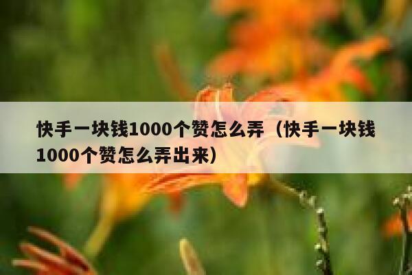 快手一块钱1000个赞怎么弄（快手一块钱1000个赞怎么弄出来） 第1张