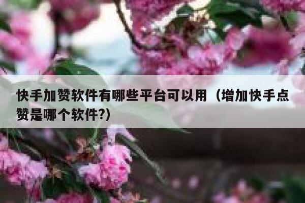 快手加赞软件有哪些平台可以用(增加快手点赞是哪个软件?) 第1张 快手加赞软件有哪些平台可以用(增加快手点赞是哪个软件?) 第1张