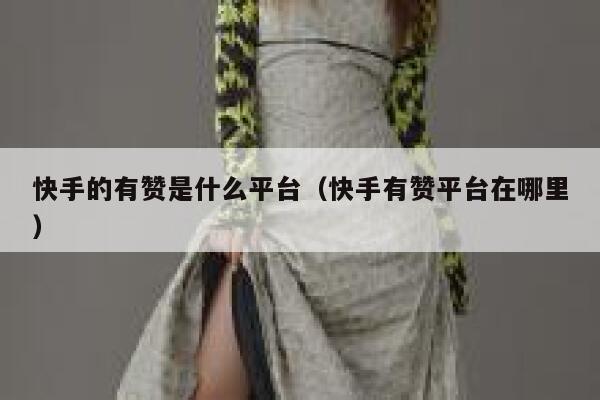 快手的有赞是什么平台（快手有赞平台在哪里） 第1张