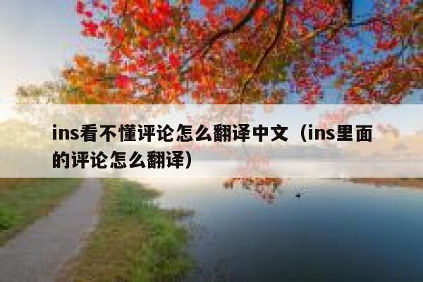 ins看不懂评论怎么翻译中文（ins里面的评论怎么翻译） 第1张