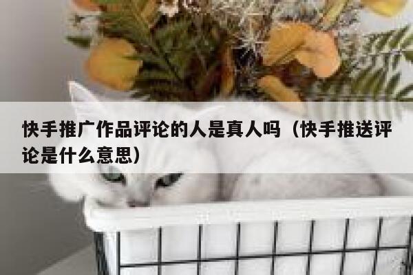 快手推广作品评论的人是真人吗(快手推送评论是什么意思) 第1张 快手推广作品评论的人是真人吗(快手推送评论是什么意思) 第1张