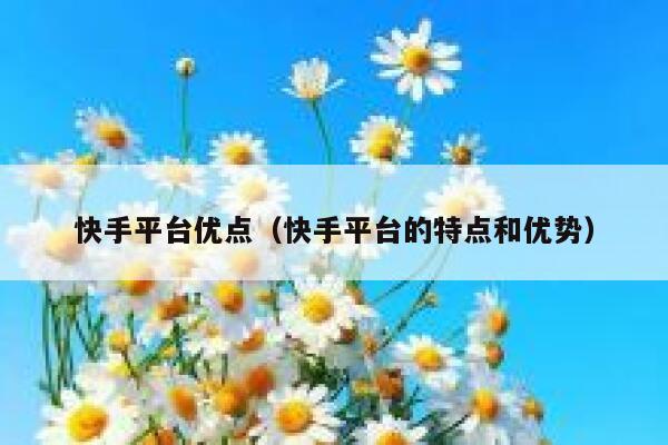 快手平台优点（快手平台的特点和优势） 第1张