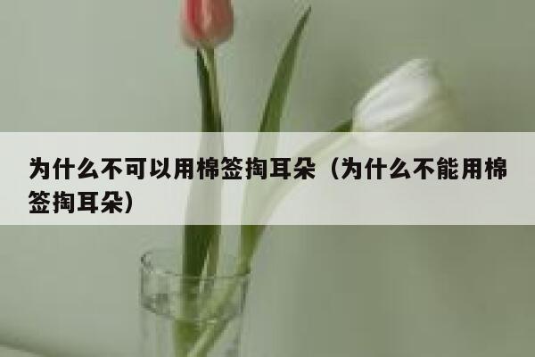 为什么不可以用棉签掏耳朵（为什么不能用棉签掏耳朵） 第1张