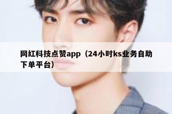 网红科技点赞app（24小时ks业务自助下单平台） 第1张