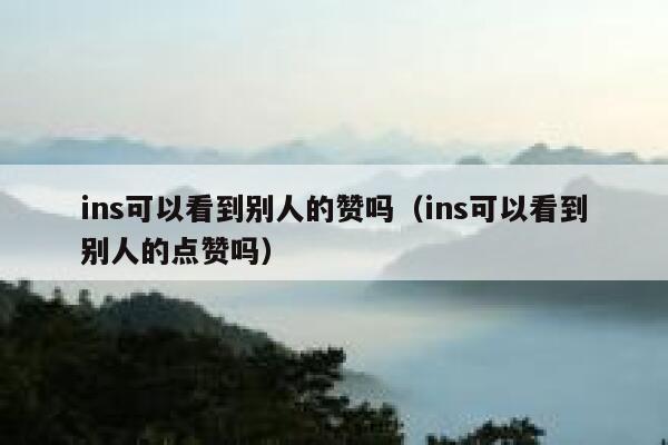 ins可以看到别人的赞吗（ins可以看到别人的点赞吗） 第1张