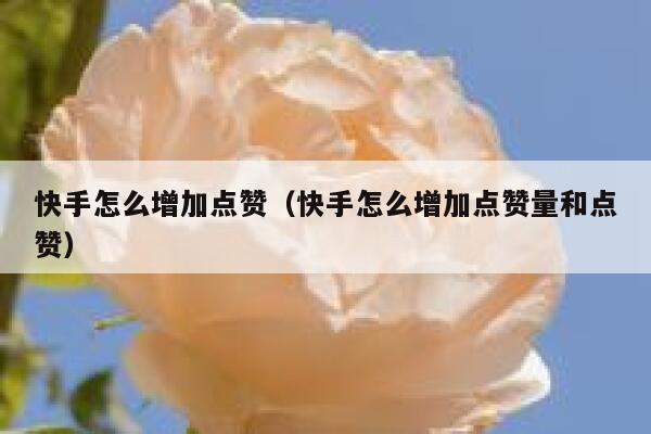 快手怎么增加点赞（快手怎么增加点赞量和点赞） 第1张