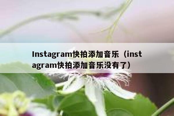 Instagram快拍添加音乐（instagram快拍添加音乐没有了） 第1张