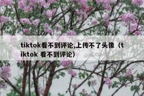 tiktok看不到评论,上传不了头像（tiktok 看不到评论） 第1张
