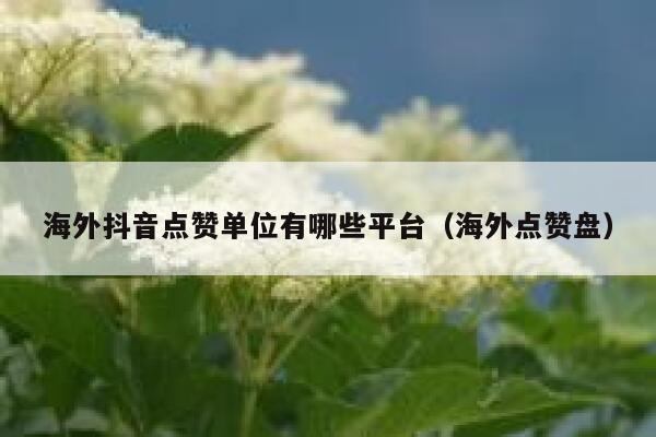 海外抖音点赞单位有哪些平台（海外点赞盘） 第1张