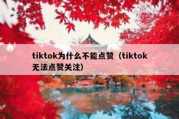 tiktok为什么不能点赞（tiktok无法点赞关注） 第1张