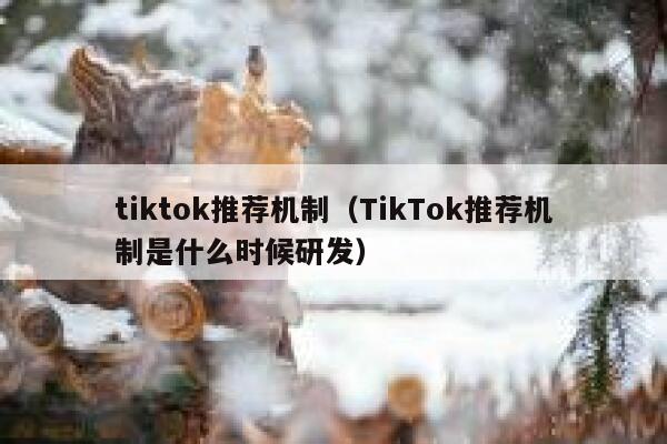 tiktok推荐机制（TikTok推荐机制是什么时候研发） 第1张