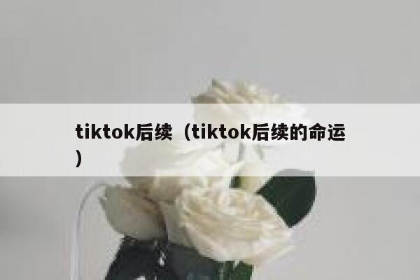 tiktok后续(tiktok后续的命运) 第1张 tiktok后续(tiktok后续的命运) 第1张
