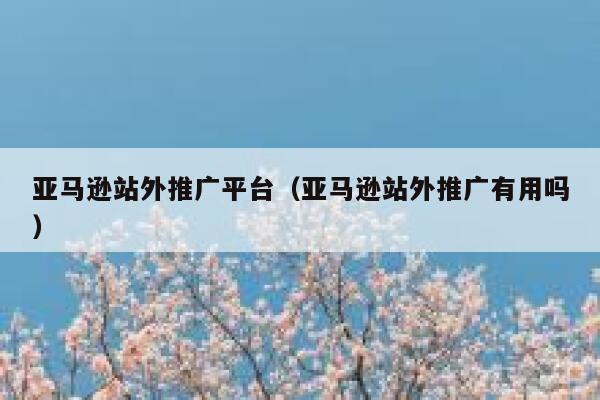 亚马逊站外推广平台(亚马逊站外推广有用吗) 第1张 亚马逊站外推广平台(亚马逊站外推广有用吗) 第1张