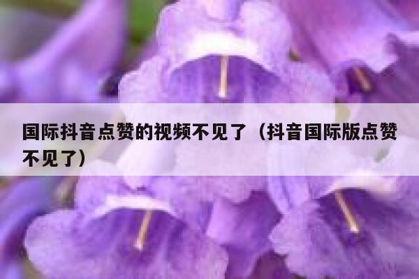 国际抖音点赞的视频不见了（抖音国际版点赞不见了） 第1张
