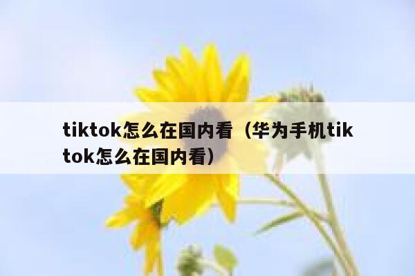 tiktok怎么在国内看（华为手机tiktok怎么在国内看） 第1张