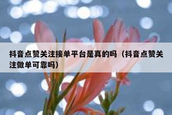 抖音点赞关注接单平台是真的吗（抖音点赞关注做单可靠吗） 第1张