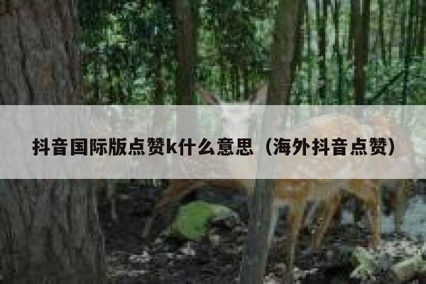 抖音国际版点赞k什么意思（海外抖音点赞） 第1张