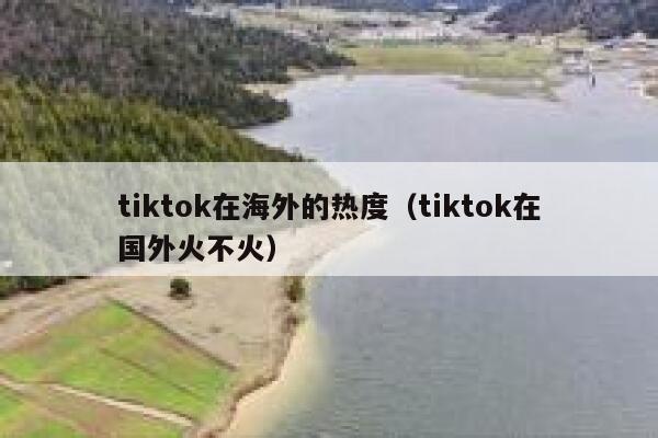 tiktok在海外的热度（tiktok在国外火不火） 第1张