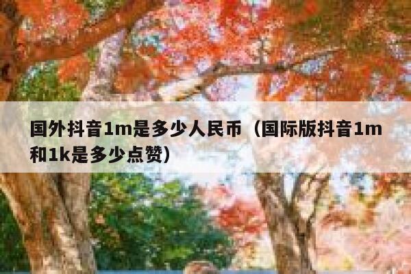 国外抖音1m是多少人民币（国际版抖音1m和1k是多少点赞） 第1张