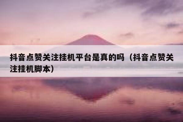 抖音点赞关注挂机平台是真的吗（抖音点赞关注挂机脚本） 第1张