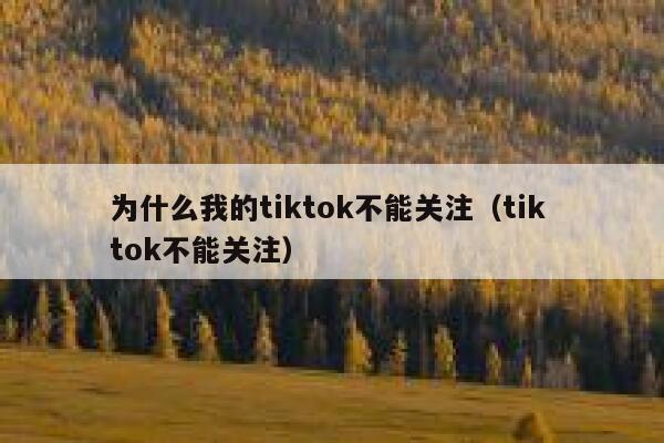 为什么我的tiktok不能关注（tik tok不能关注） 第1张