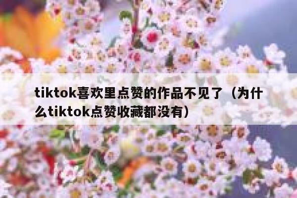 tiktok喜欢里点赞的作品不见了（为什么tiktok点赞收藏都没有） 第1张