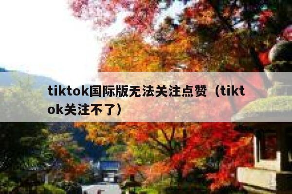 tiktok国际版无法关注点赞（tiktok关注不了） 第1张