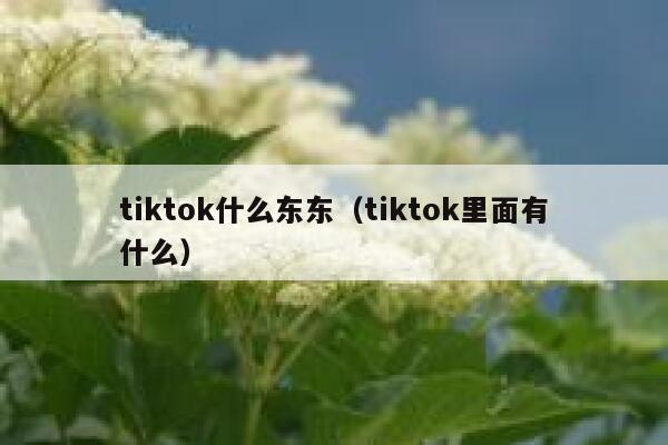 tiktok什么东东（tiktok里面有什么） 第1张