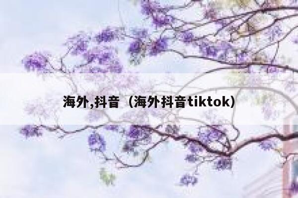海外,抖音（海外抖音tiktok） 第1张