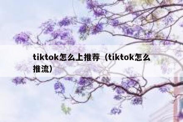 tiktok怎么上推荐（tiktok怎么推流） 第1张