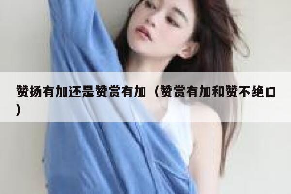 赞扬有加还是赞赏有加（赞赏有加和赞不绝口） 第1张