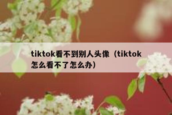 tiktok看不到别人头像（tiktok怎么看不了怎么办） 第1张