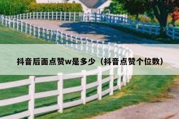 抖音后面点赞w是多少（抖音点赞个位数） 第1张