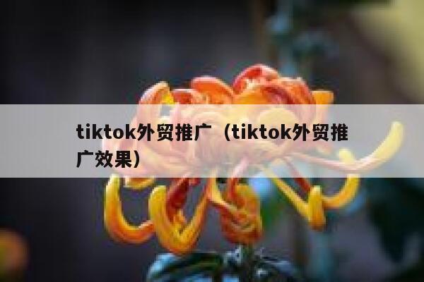 tiktok外贸推广（tiktok外贸推广效果） 第1张