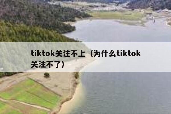 tiktok关注不上（为什么tiktok关注不了） 第1张