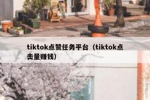 tiktok点赞任务平台（tiktok点击量赚钱） 第1张