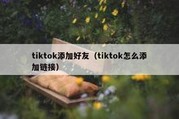 tiktok添加好友（tiktok怎么添加链接） 第1张