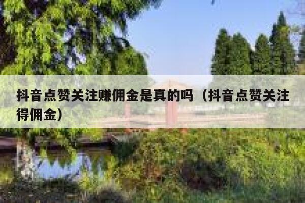 抖音点赞关注赚佣金是真的吗(抖音点赞关注得佣金) 第1张 抖音点赞关注赚佣金是真的吗(抖音点赞关注得佣金) 第1张