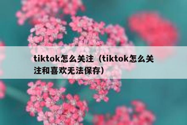 tiktok怎么关注（tiktok怎么关注和喜欢无法保存） 第1张