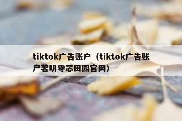 tiktok广告账户（tiktok广告账户著明零芯田园官网） 第1张