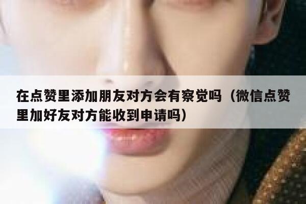 在点赞里添加朋友对方会有察觉吗（微信点赞里加好友对方能收到申请吗） 第1张