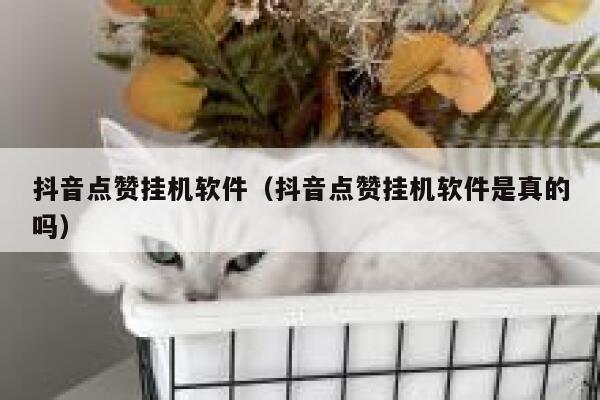 抖音点赞挂机软件（抖音点赞挂机软件是真的吗） 第1张